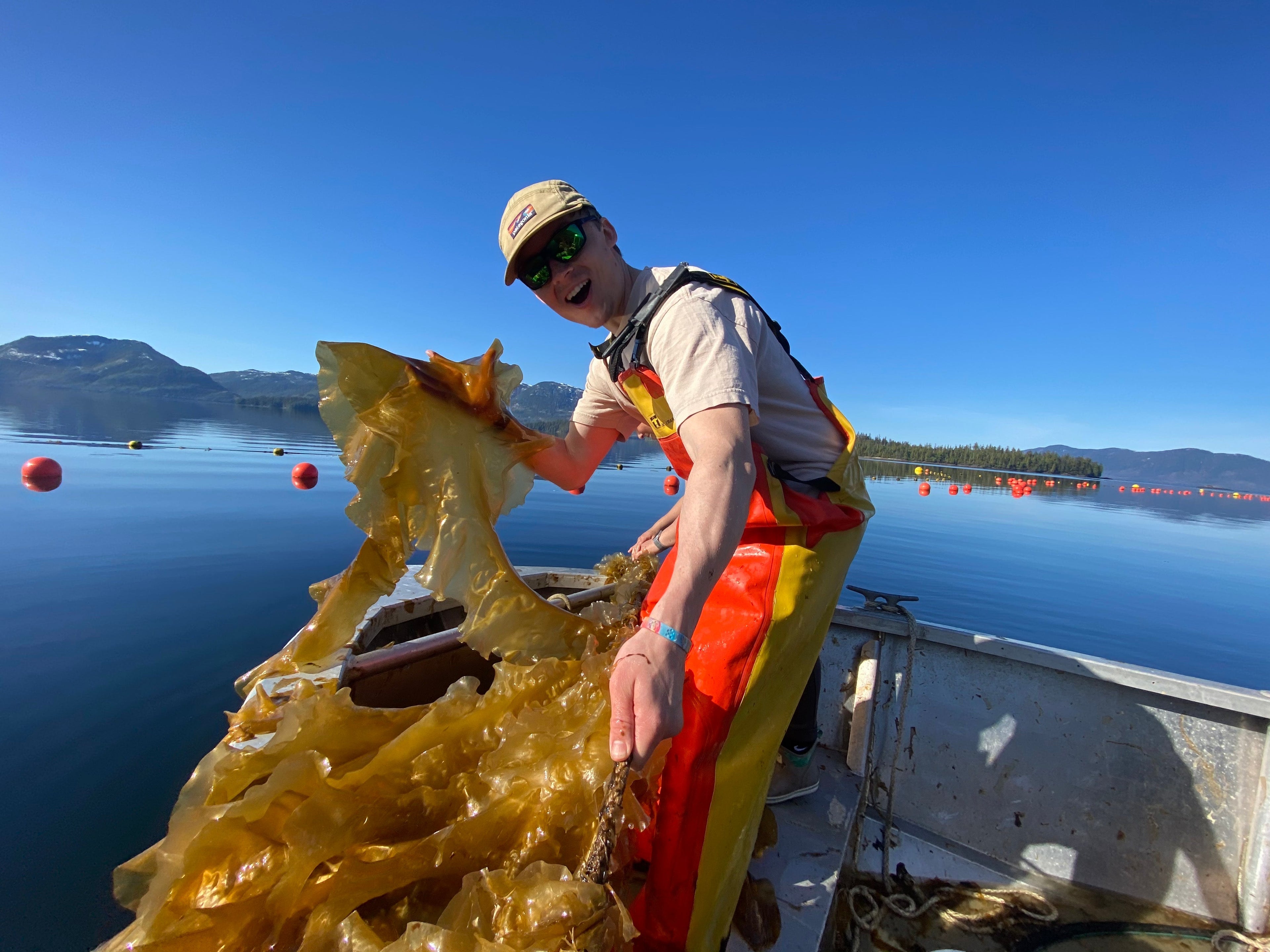 Will Northwest Seaweed Farming Finally Take Off?