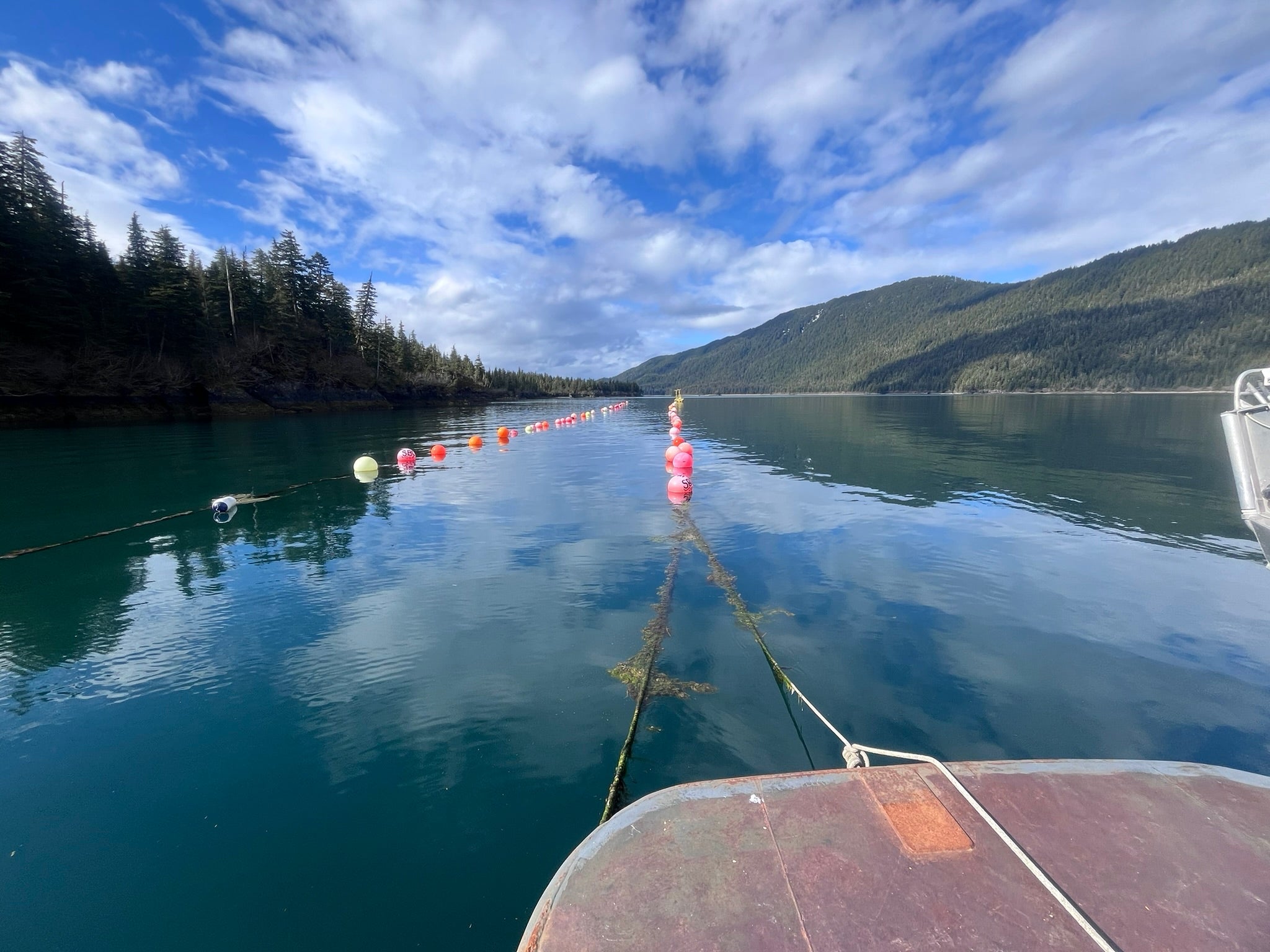 Farm advocates discuss agriculture resources and sustainability | Alaska Insight